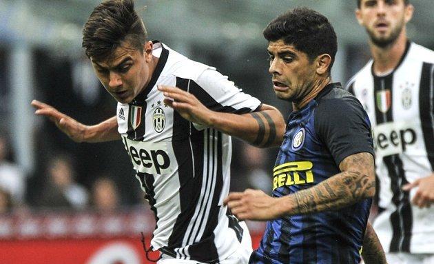 精品高清国产a毛片